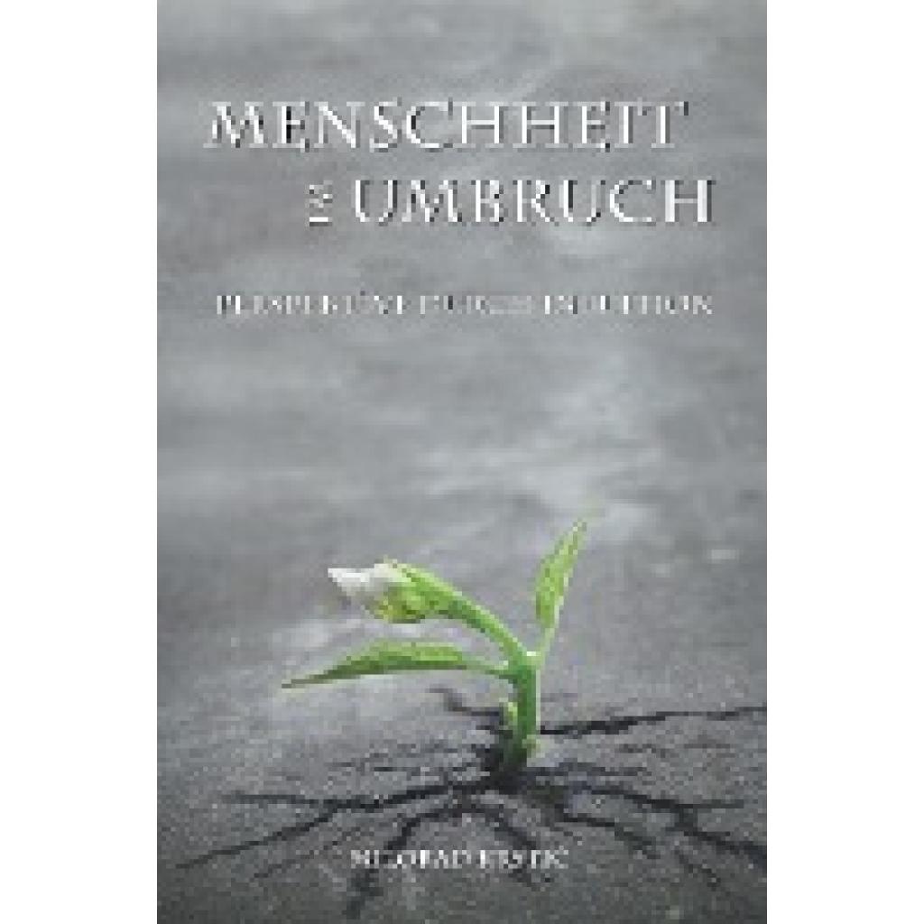 Menschheit im Umbruch. Perspektive durch Intuition (Krstic, Milorad)