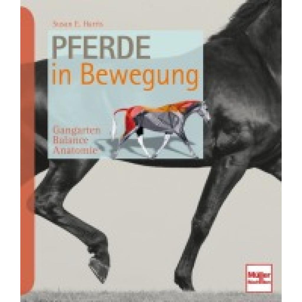Harris, Susan E.: Pferde in Bewegung