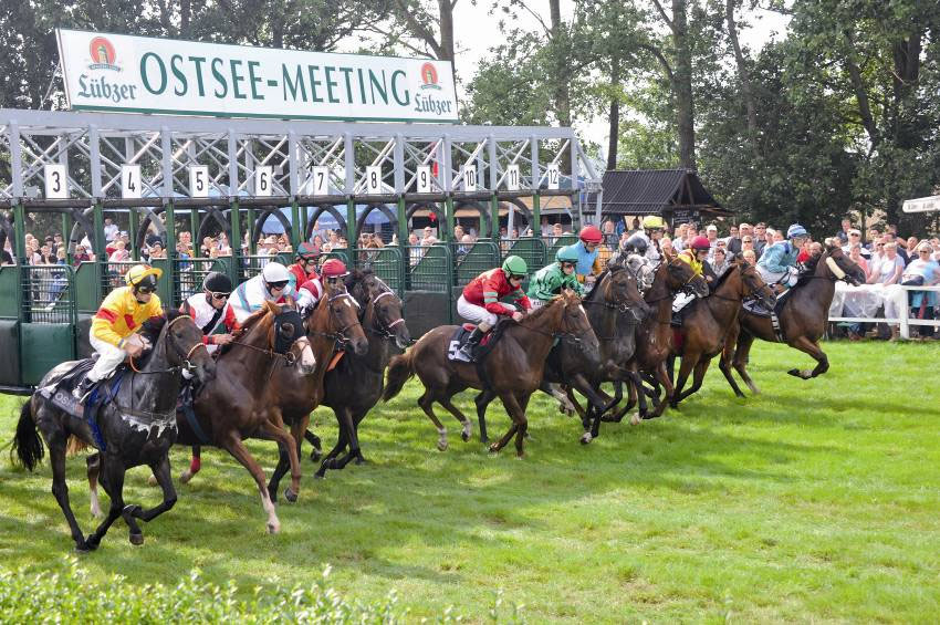 Impressionen 2011