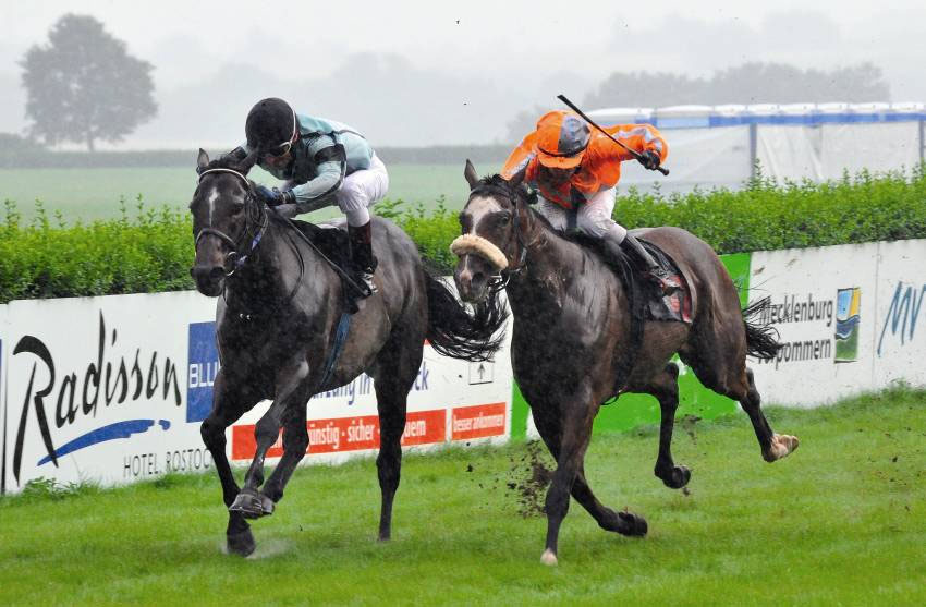 Impressionen 2011