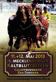 Kaltbluttreffen