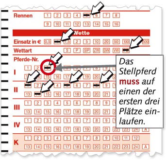 Platz-Zwilling-Wette Platz-Zwilling-Wette