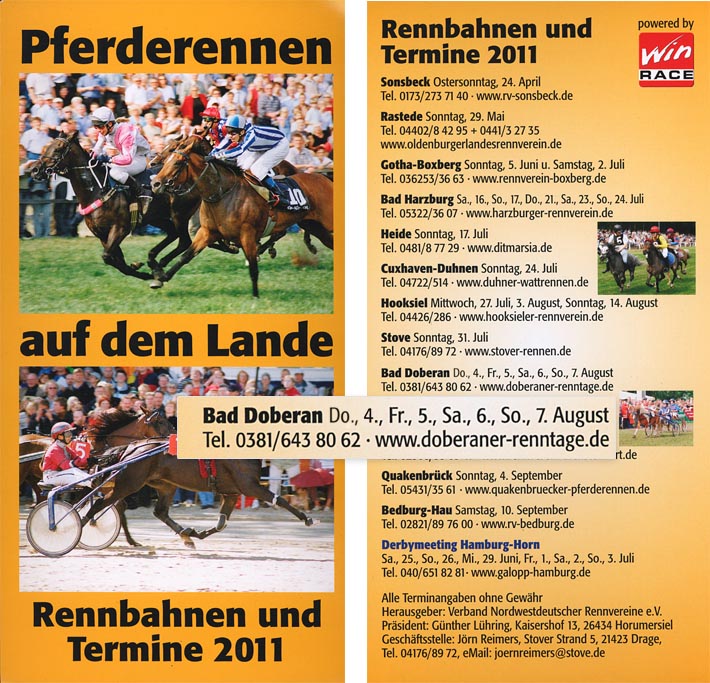 Flyer Pferderennen auf dem Lande