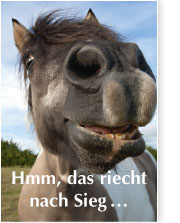Postkartenserie 2011
